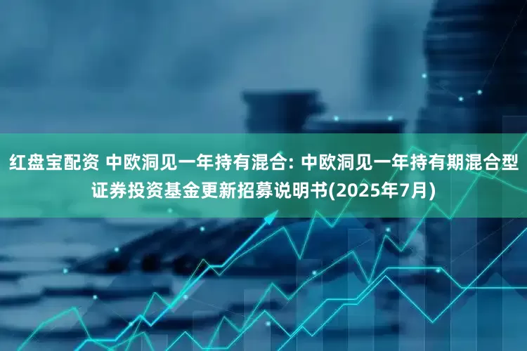 红盘宝配资 中欧洞见一年持有混合: 中欧洞见一年持有期混合型证券投资基金更新招募说明书(2025年7月)