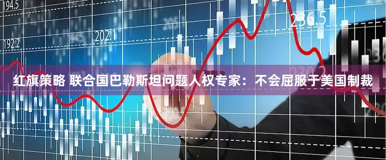 红旗策略 联合国巴勒斯坦问题人权专家：不会屈服于美国制裁