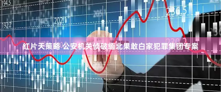红片天策略 公安机关侦破缅北果敢白家犯罪集团专案