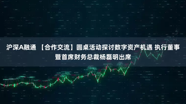 沪深A融通 【合作交流】圆桌活动探讨数字资产机遇 执行董事暨首席财务总裁杨磊明出席