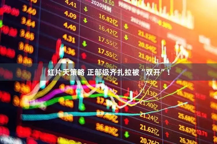 红片天策略 正部级齐扎拉被“双开”！